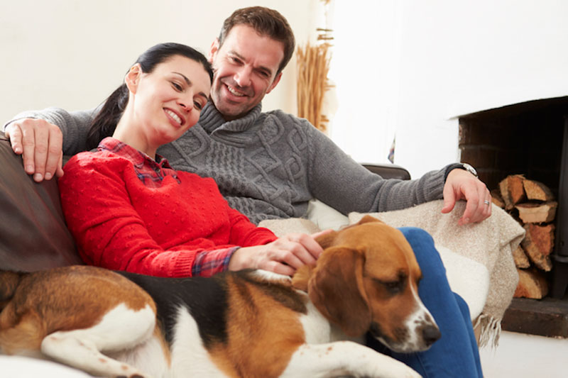 Couple sitting on a couch with their dog