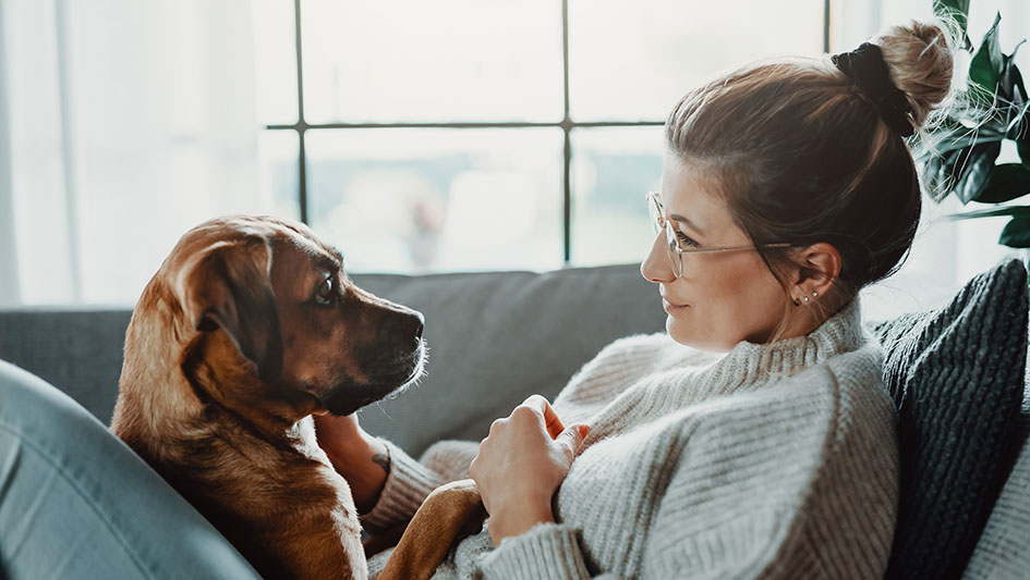 Woman and her dog sitting on the couch