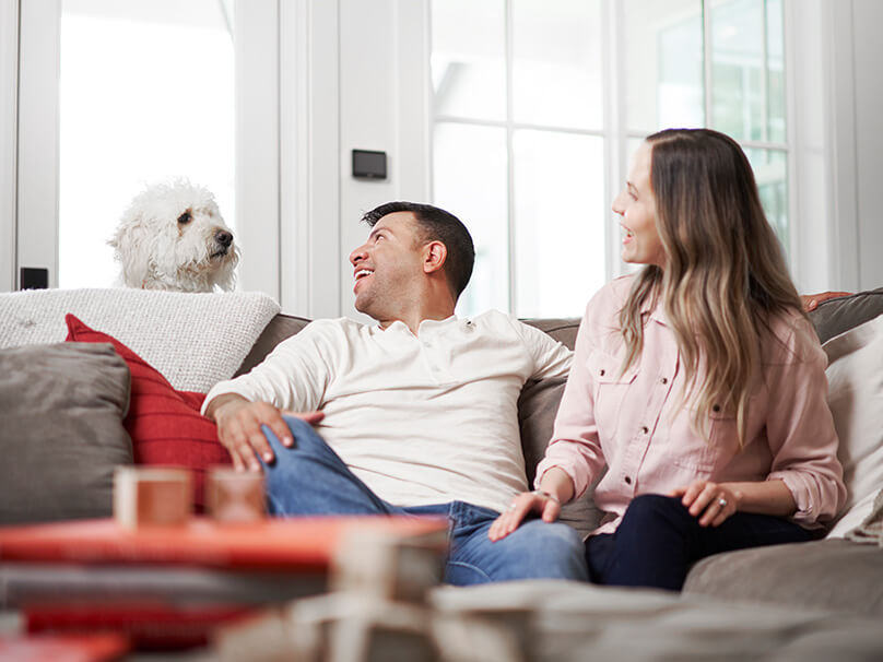 couple sitting on the couch looking at their dog