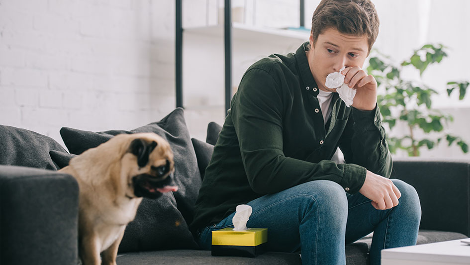 man blowing his nose on his couch
