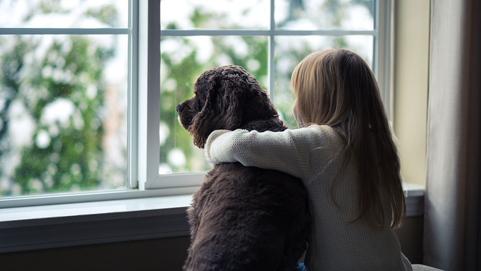 2021Blog_GasFurnace_945x533 child and her dog looking out the window
