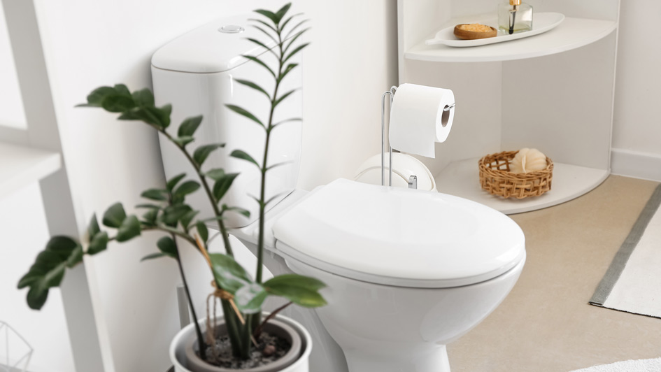 Toilet with a plant next to it